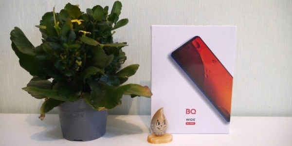 Обзор смартфона BQ-6868L Wide от BQ (промокод на телефоны BQ &mdash; 10%!)