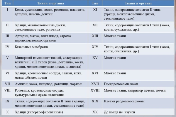 Рейтинг лучших препаратов морского коллагена на 2026 год