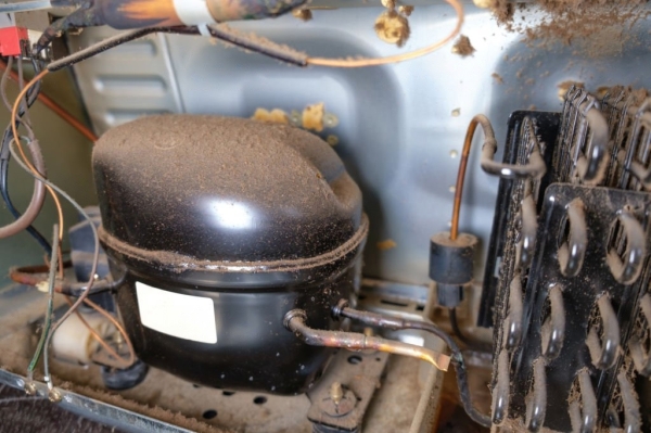 Рейтинг лучших компрессоров для холодильников на 2026 год